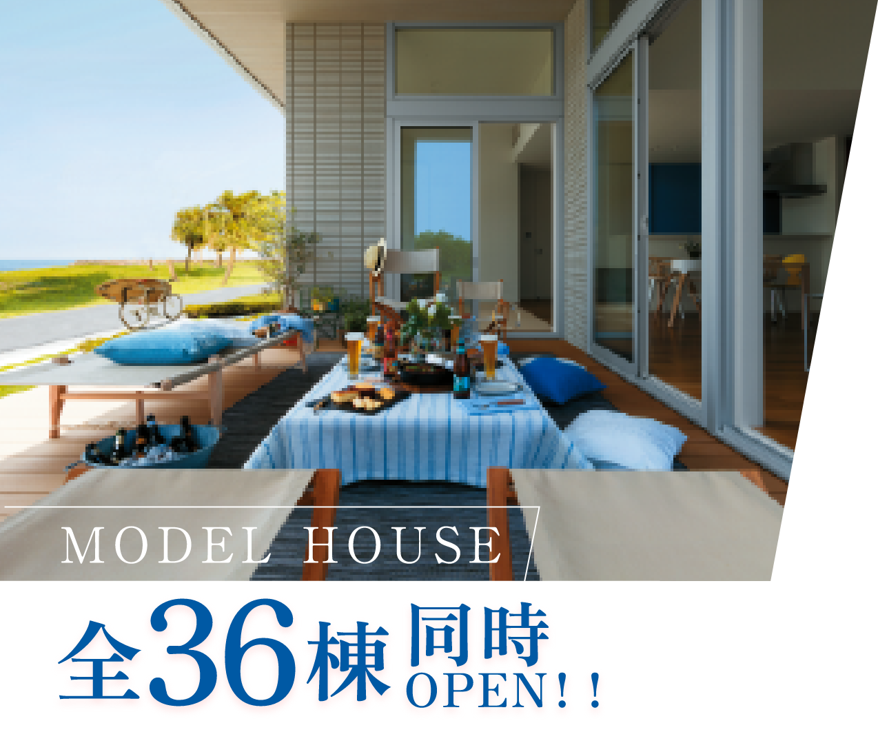 全36棟同時OPEN!!